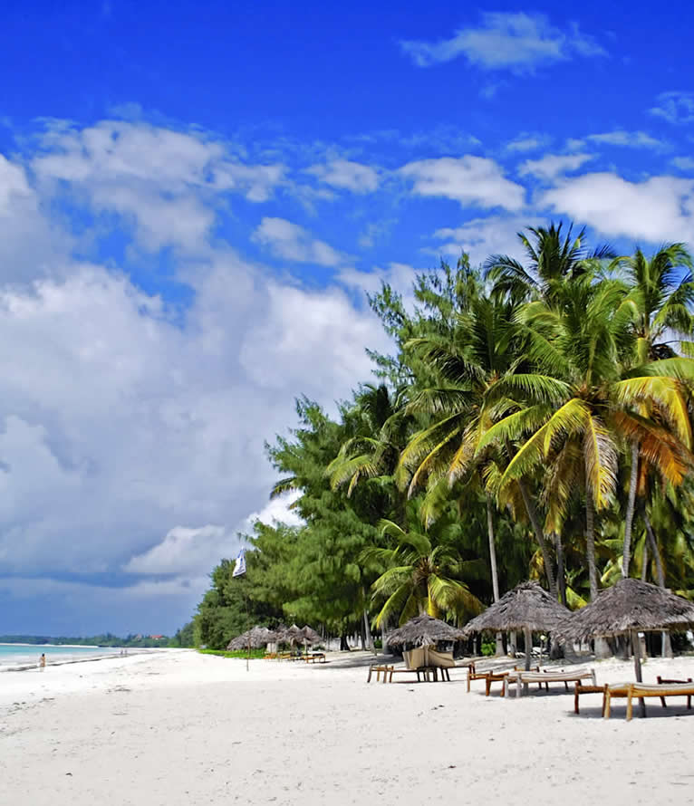 bush and beach expedition