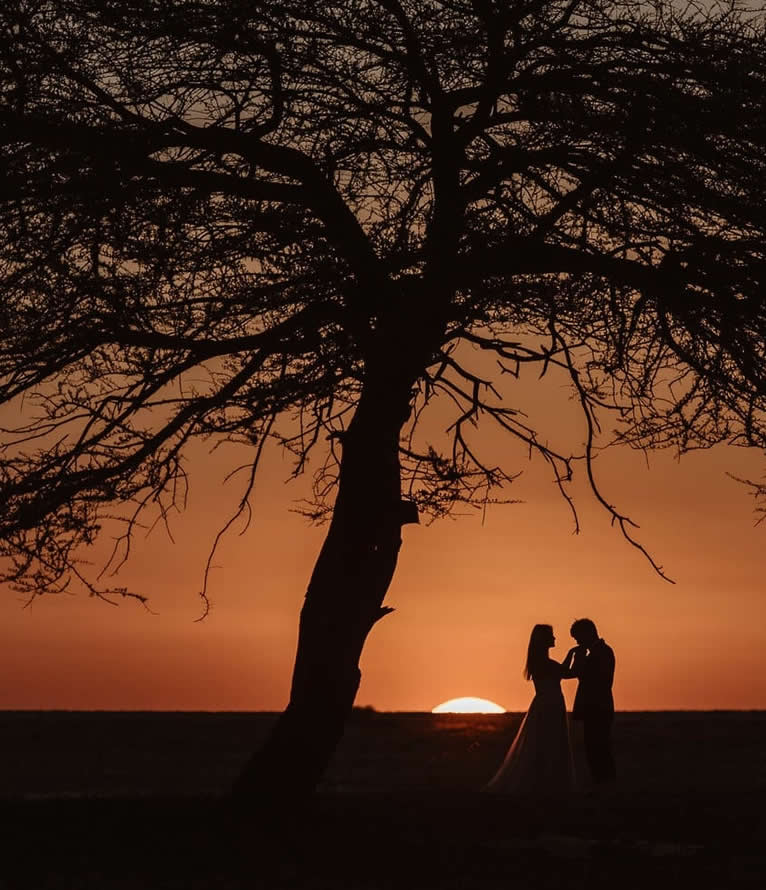 weddings and elopement