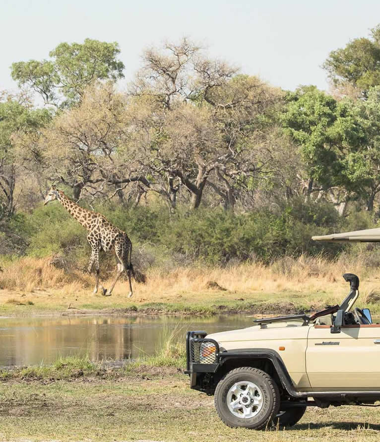 wilderness adventure